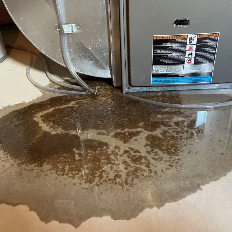 Pipe Burst and Leak Restoration in Hudson Lake, IN